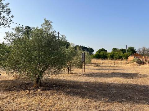 Quinta para venda - Forninho, Setúbal