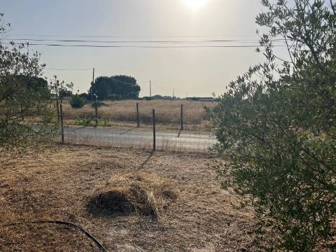 Quinta para venda - Forninho, Setúbal