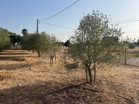 Quinta para venda - Forninho, Setúbal