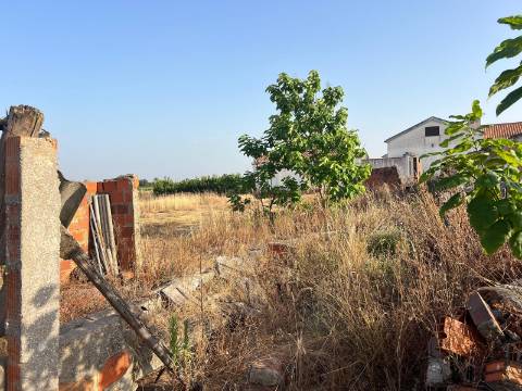 Quinta para venda - Forninho, Setúbal