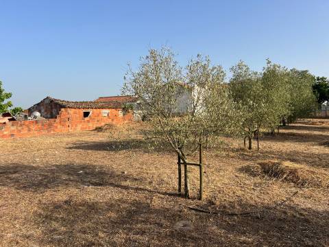 Quinta para venda - Forninho, Setúbal