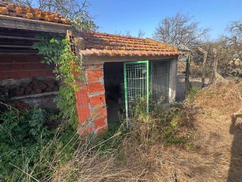 Quinta para venda - Forninho, Setúbal