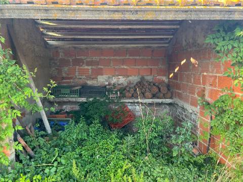 Quinta para venda - Forninho, Setúbal