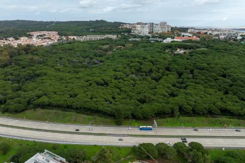 Loja para Arrendamento - Oportunidade Única !
