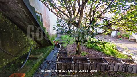 Moradia T3 para Recuperação em Óbidos | Excelente Potencial Habitacional ou Turístico
