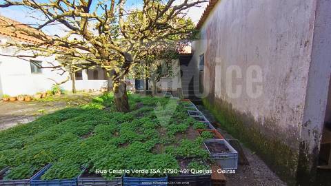 Moradia T3 para Recuperação em Óbidos | Excelente Potencial Habitacional ou Turístico
