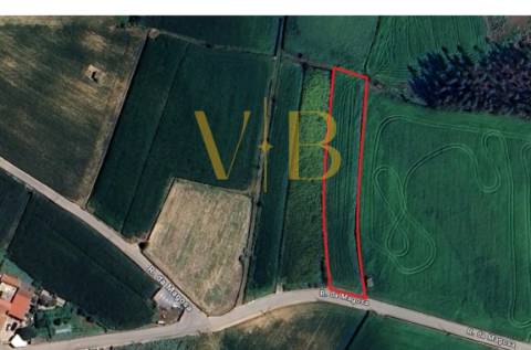 Terreno Rustico em Laundos com eletricidade e cabine
