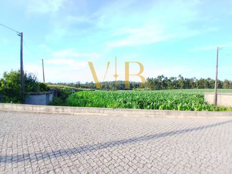 Terreno Rustico em Laundos com eletricidade e cabine