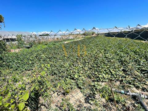 Moradia T3 Venda em Aguçadoura e Navais,Póvoa de Varzim