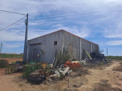 Terreno rústico com 26 400m² no Lugar da Estrada, Atouguia da Baleia