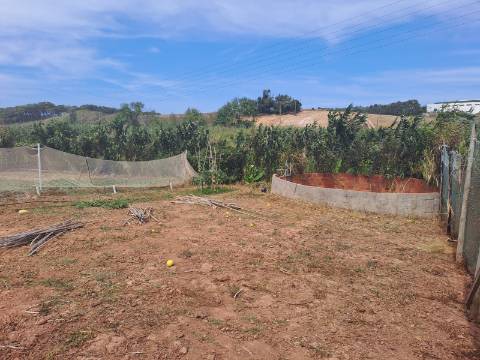 Terreno rústico com 26 400m² no Lugar da Estrada, Atouguia da Baleia