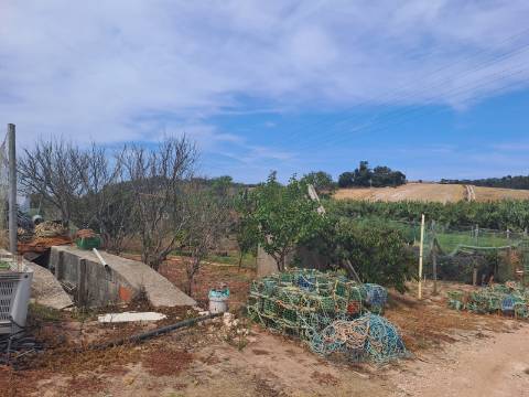 Terreno rústico com 26 400m² no Lugar da Estrada, Atouguia da Baleia