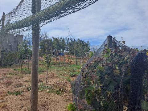 Terreno rústico com 26 400m² no Lugar da Estrada, Atouguia da Baleia