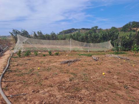 Terreno rústico com 26 400m² no Lugar da Estrada, Atouguia da Baleia