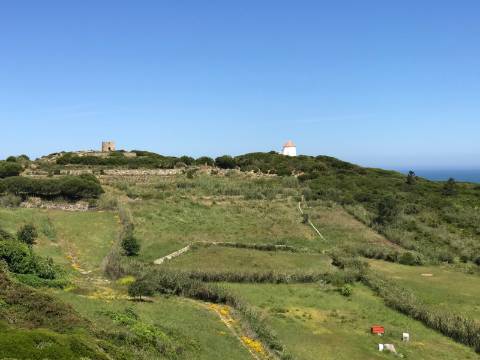 Apartamento T1 com terraço, em condomínio de luxo em frente à praia