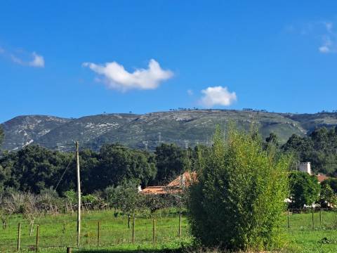 Moradia lote B - Moradia isolada térrea T3 com garagem e piscina em Lagoa do Cão, Aljubarrota