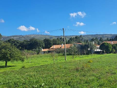 Moradia lote B - Moradia isolada térrea T3 com garagem e piscina em Lagoa do Cão, Aljubarrota