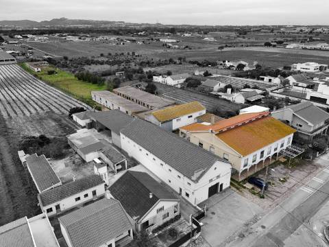 Imóvel junto a Palmela com grande potencial de investimento