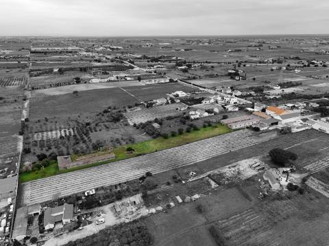 Imóvel junto a Palmela com grande potencial de investimento