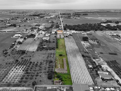 Imóvel junto a Palmela com grande potencial de investimento