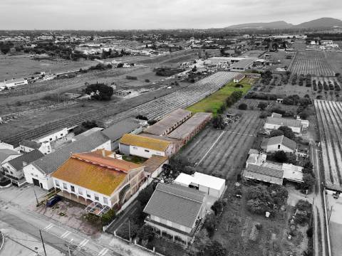 Imóvel junto a Palmela com grande potencial de investimento