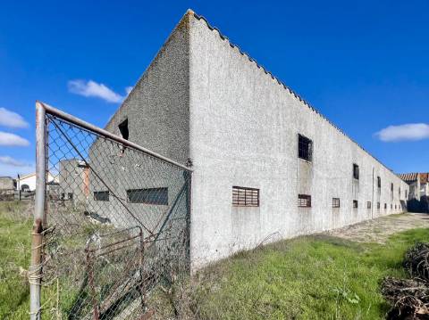 Imóvel junto a Palmela com grande potencial de investimento