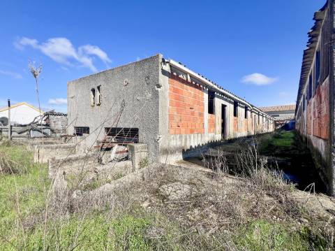 Imóvel junto a Palmela com grande potencial de investimento