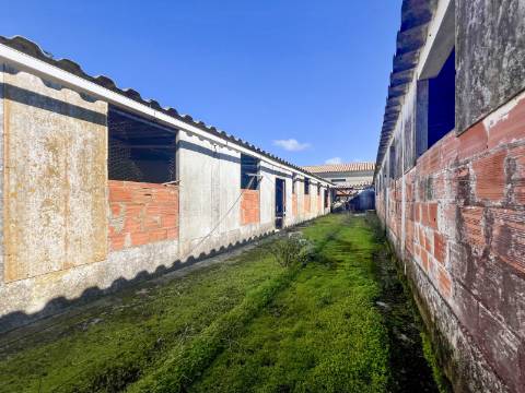 Imóvel junto a Palmela com grande potencial de investimento