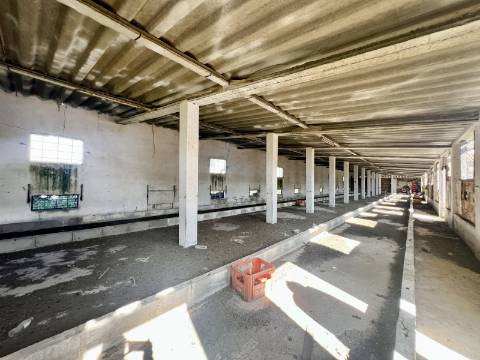 Imóvel junto a Palmela com grande potencial de investimento