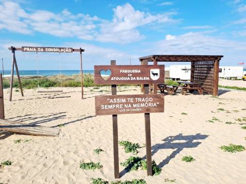 Moradia Térrea T3+1 com piscina em Geraldes