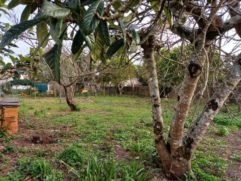 Moradia V5 com terreno urbano numa Localização Privilegiada em Leiria