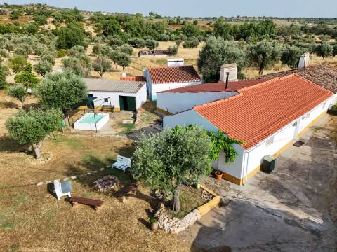 Quintinha com Moradia Típica Alentejana com 3 quartos
