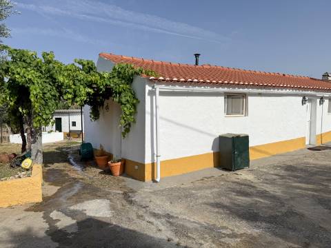 Quintinha com Moradia Típica Alentejana com 3 quartos