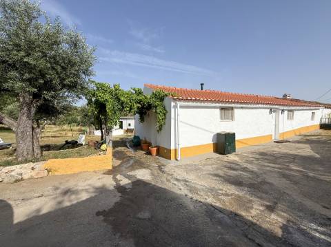 Quintinha com Moradia Típica Alentejana com 3 quartos