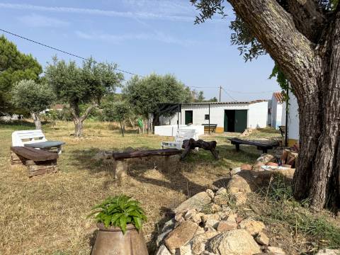 Quintinha com Moradia Típica Alentejana com 3 quartos