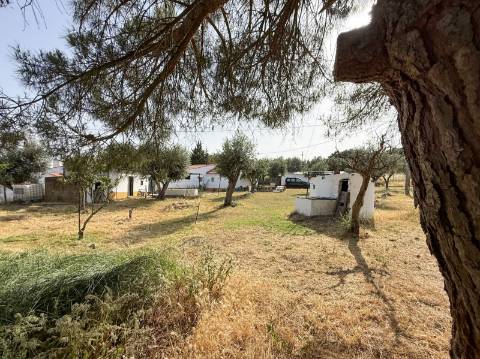 Quintinha com Moradia Típica Alentejana com 3 quartos