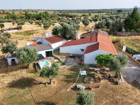 Quintinha com Moradia Típica Alentejana com 3 quartos