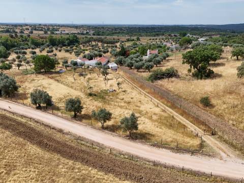 Quintinha com Moradia Típica Alentejana com 3 quartos