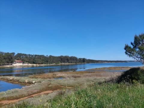 Moradia V4 com piscina perto da Lagoa de Óbidos