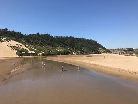 Moradia V2 com jardim a 5 minutos das praias