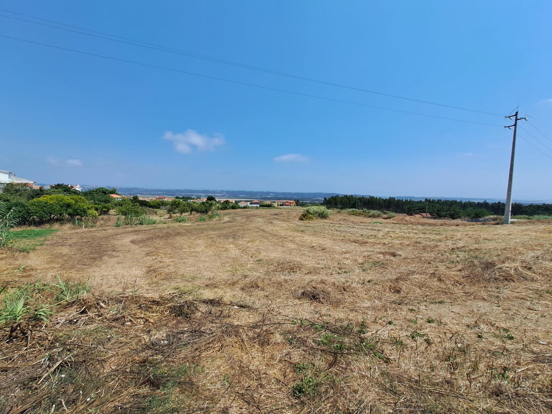 Terreno para construção em Salir do Porto