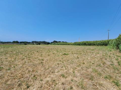 Terreno para Indústria perto da A8