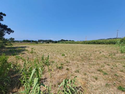 Terreno para Indústria perto da A8