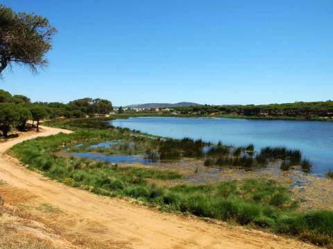 Última oportunidade no Triângulo Dourado do Algarve