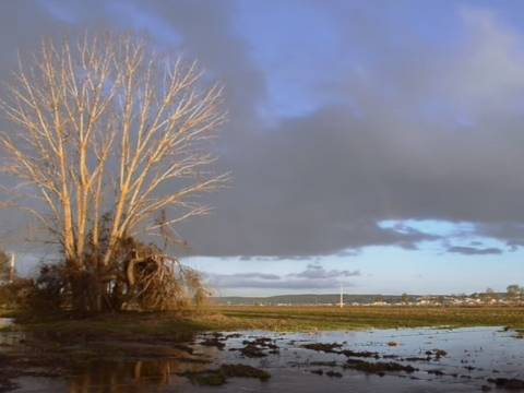 COMPLEXO INDUSTRIAL E LOGÍSTICO NO CENTRO DE PORTUGAL - INVESTIMENTO COM ALTA RENTABILIDADE