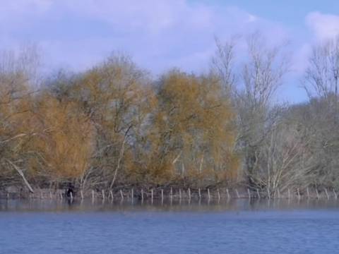 COMPLEXO INDUSTRIAL E LOGÍSTICO NO CENTRO DE PORTUGAL - INVESTIMENTO COM ALTA RENTABILIDADE
