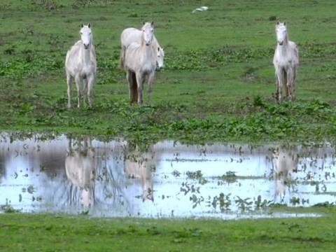COMPLEXO INDUSTRIAL E LOGÍSTICO NO CENTRO DE PORTUGAL - INVESTIMENTO COM ALTA RENTABILIDADE