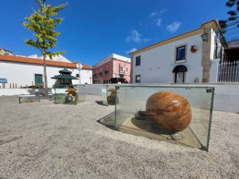 Prédio devoluto para reabilitação - junto à icónica Praça da Fruta das Caldas da Rainha
