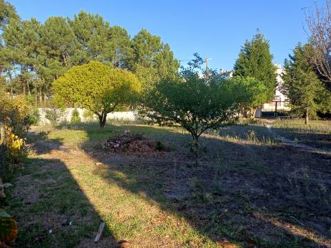 Moradia T4 no centro da Marinha Grande