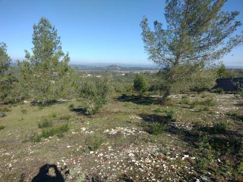 Terreno de 1505m2 urbanizável em Ortiga, Fátima com vista Castelo Ourém